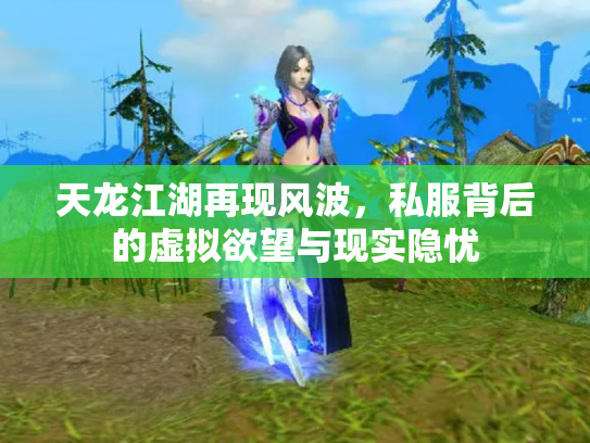 天龙江湖再现风波，私服背后的虚拟欲望与现实隐忧