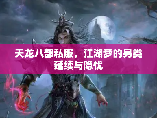 天龙八部私服，江湖梦的另类延续与隐忧