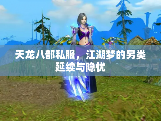 天龙八部私服，江湖梦的另类延续与隐忧