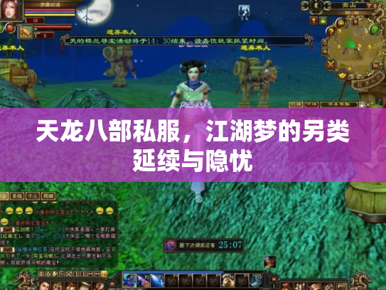 天龙八部私服，江湖梦的另类延续与隐忧