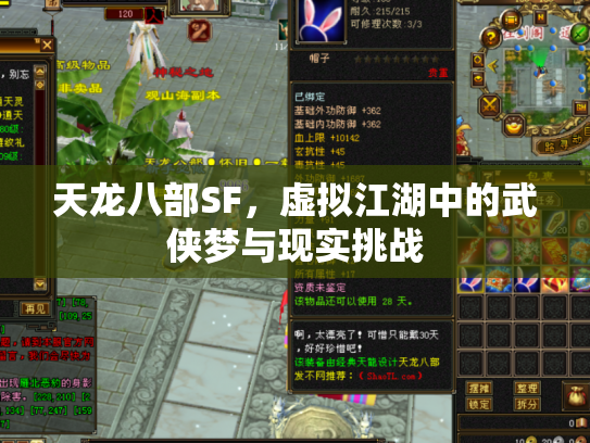 天龙八部SF，虚拟江湖中的武侠梦与现实挑战