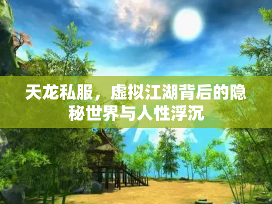 天龙私服，虚拟江湖背后的隐秘世界与人性浮沉