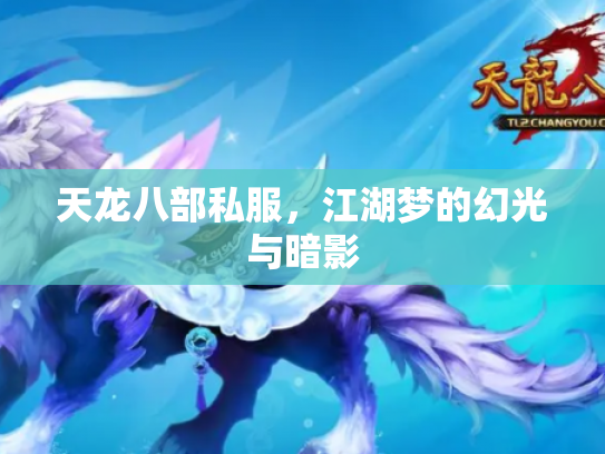天龙八部私服，江湖梦的幻光与暗影