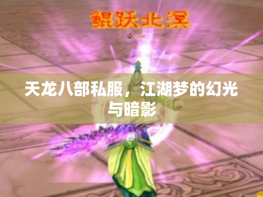 天龙八部私服，江湖梦的幻光与暗影