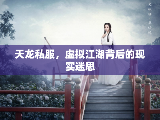天龙私服，虚拟江湖背后的现实迷思