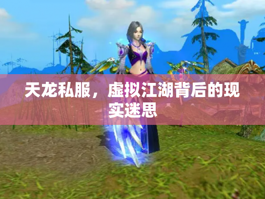 天龙私服，虚拟江湖背后的现实迷思