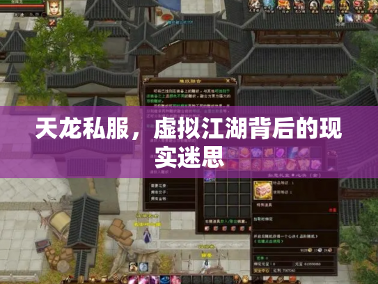 天龙私服，虚拟江湖背后的现实迷思