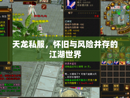 天龙私服，怀旧与风险并存的江湖世界