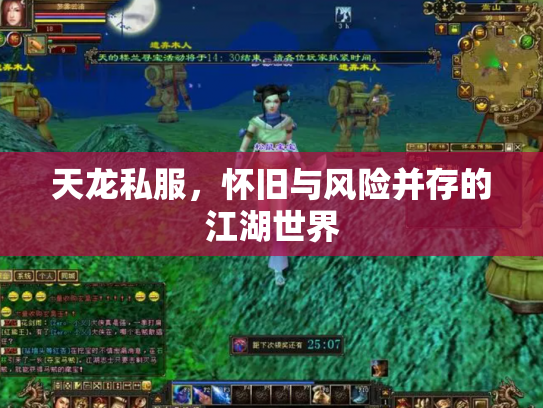 天龙私服，怀旧与风险并存的江湖世界