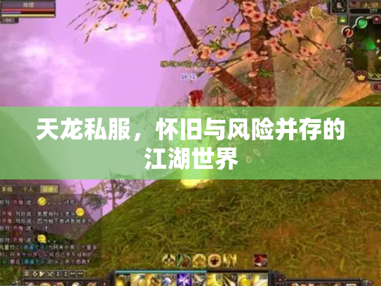天龙私服，怀旧与风险并存的江湖世界