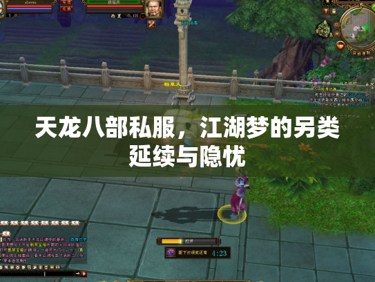 天龙八部私服，江湖梦的另类延续与隐忧