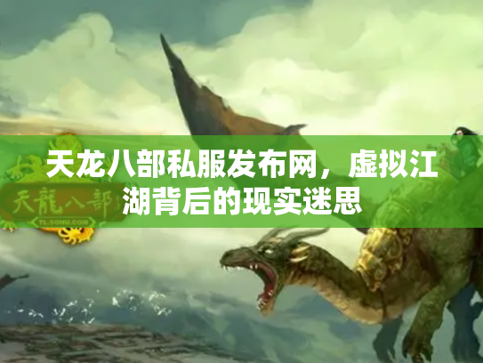 天龙八部私服发布网，虚拟江湖背后的现实迷思