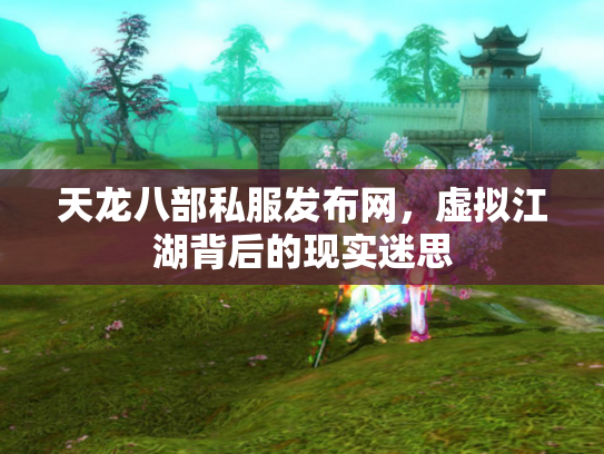 天龙八部私服发布网，虚拟江湖背后的现实迷思