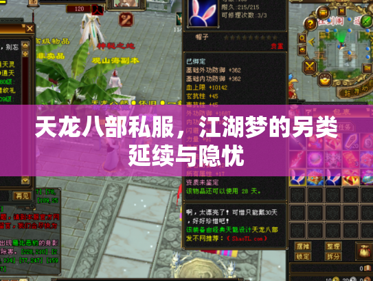 天龙八部私服，江湖梦的另类延续与隐忧