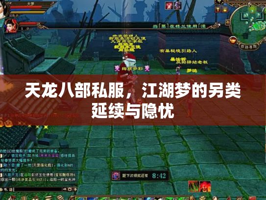 天龙八部私服，江湖梦的另类延续与隐忧