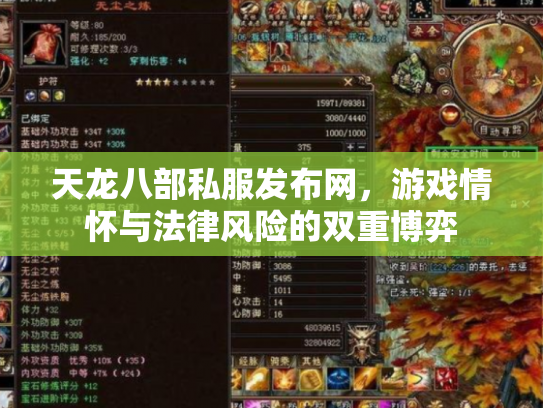 天龙八部私服发布网，游戏情怀与法律风险的双重博弈