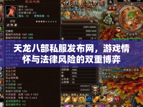 天龙八部私服发布网，游戏情怀与法律风险的双重博弈