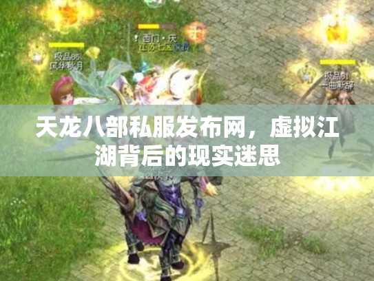 天龙八部私服发布网，虚拟江湖背后的现实迷思