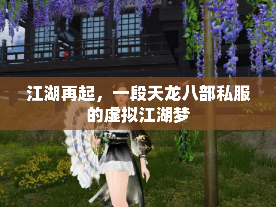 江湖再起，一段天龙八部私服的虚拟江湖梦