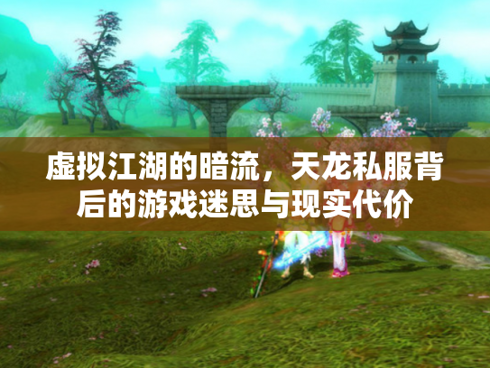 虚拟江湖的暗流，天龙私服背后的游戏迷思与现实代价