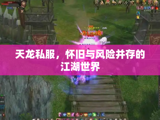天龙私服，怀旧与风险并存的江湖世界