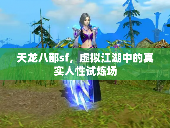 天龙八部sf，虚拟江湖中的真实人性试炼场