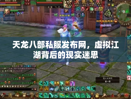 天龙八部私服发布网，虚拟江湖背后的现实迷思