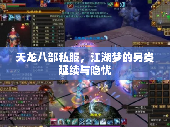天龙八部私服，江湖梦的另类延续与隐忧