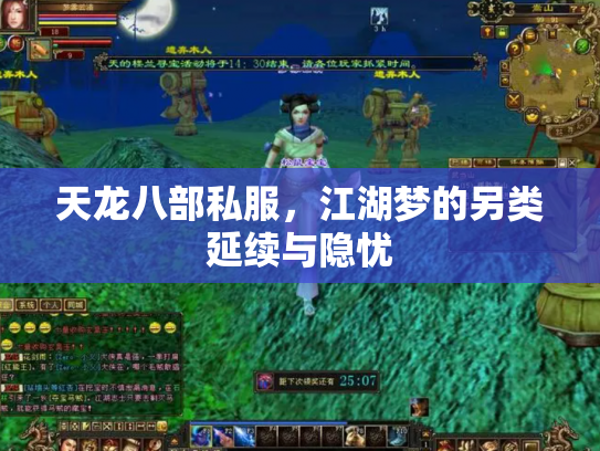 天龙八部私服，江湖梦的另类延续与隐忧