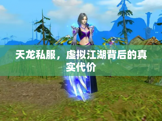 天龙私服，虚拟江湖背后的真实代价
