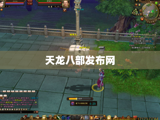 天龙八部发布网