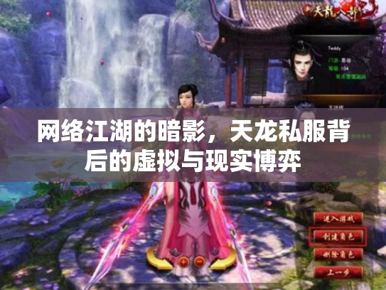 网络江湖的暗影，天龙私服背后的虚拟与现实博弈