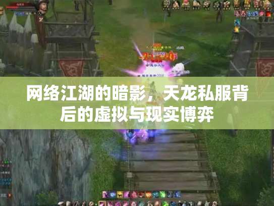 网络江湖的暗影，天龙私服背后的虚拟与现实博弈