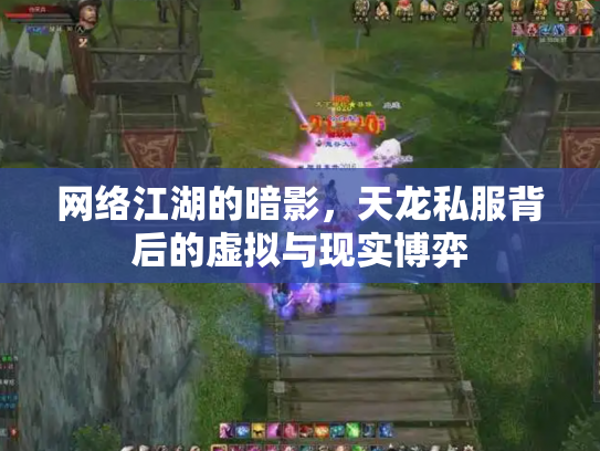 网络江湖的暗影，天龙私服背后的虚拟与现实博弈