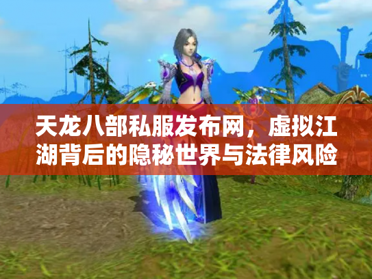 天龙八部私服发布网，虚拟江湖背后的隐秘世界与法律风险