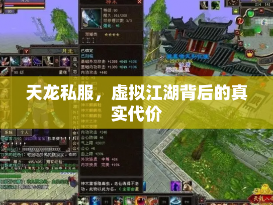 天龙私服，虚拟江湖背后的真实代价