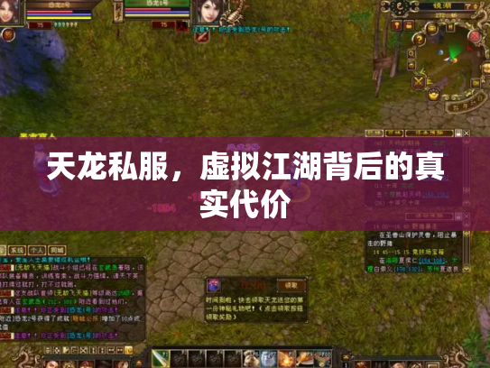 天龙私服，虚拟江湖背后的真实代价