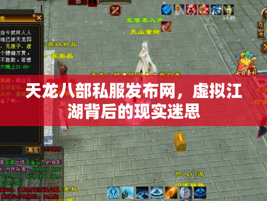 天龙八部私服发布网，虚拟江湖背后的现实迷思