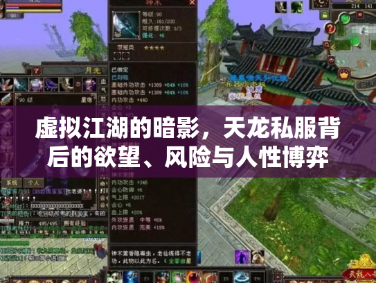 虚拟江湖的暗影，天龙私服背后的欲望、风险与人性博弈