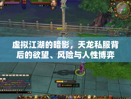 虚拟江湖的暗影，天龙私服背后的欲望、风险与人性博弈