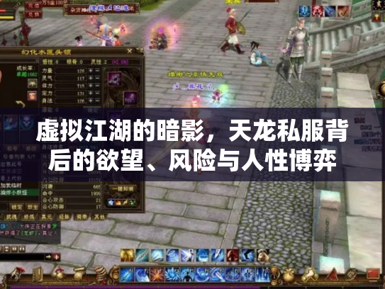 虚拟江湖的暗影，天龙私服背后的欲望、风险与人性博弈