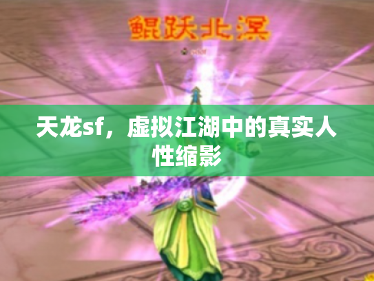 天龙sf，虚拟江湖中的真实人性缩影