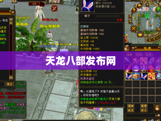 天龙八部发布网