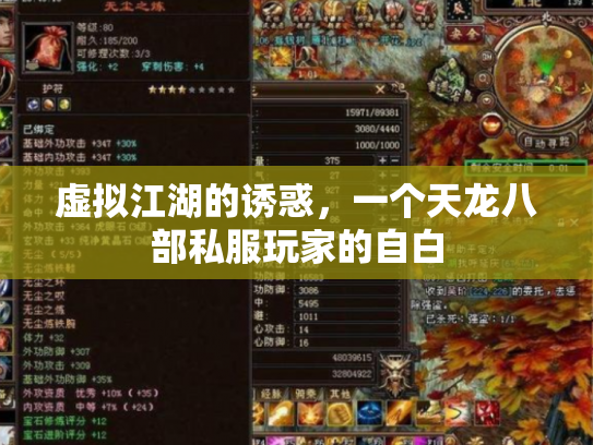 虚拟江湖的诱惑，一个天龙八部私服玩家的自白