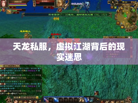 天龙私服，虚拟江湖背后的现实迷思