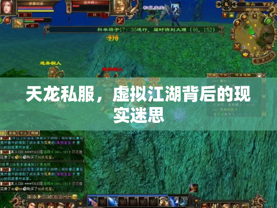 天龙私服，虚拟江湖背后的现实迷思