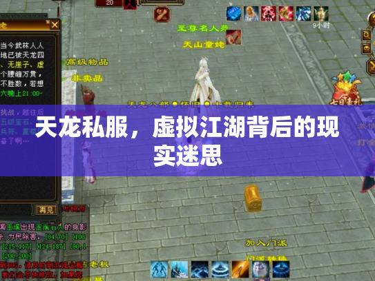 天龙私服，虚拟江湖背后的现实迷思