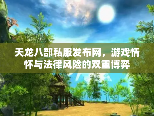 天龙八部私服发布网，游戏情怀与法律风险的双重博弈