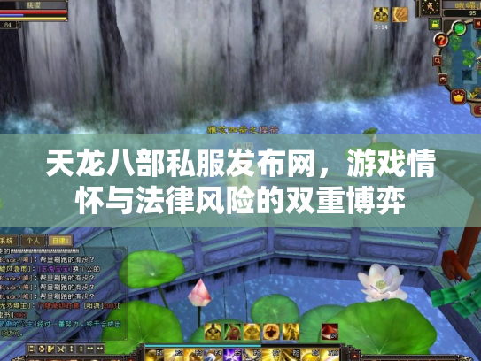 天龙八部私服发布网，游戏情怀与法律风险的双重博弈
