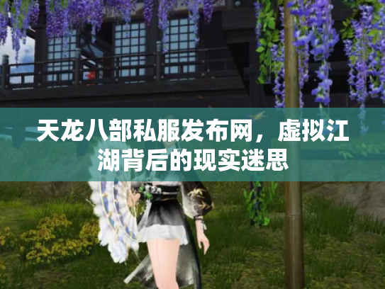 天龙八部私服发布网，虚拟江湖背后的现实迷思
